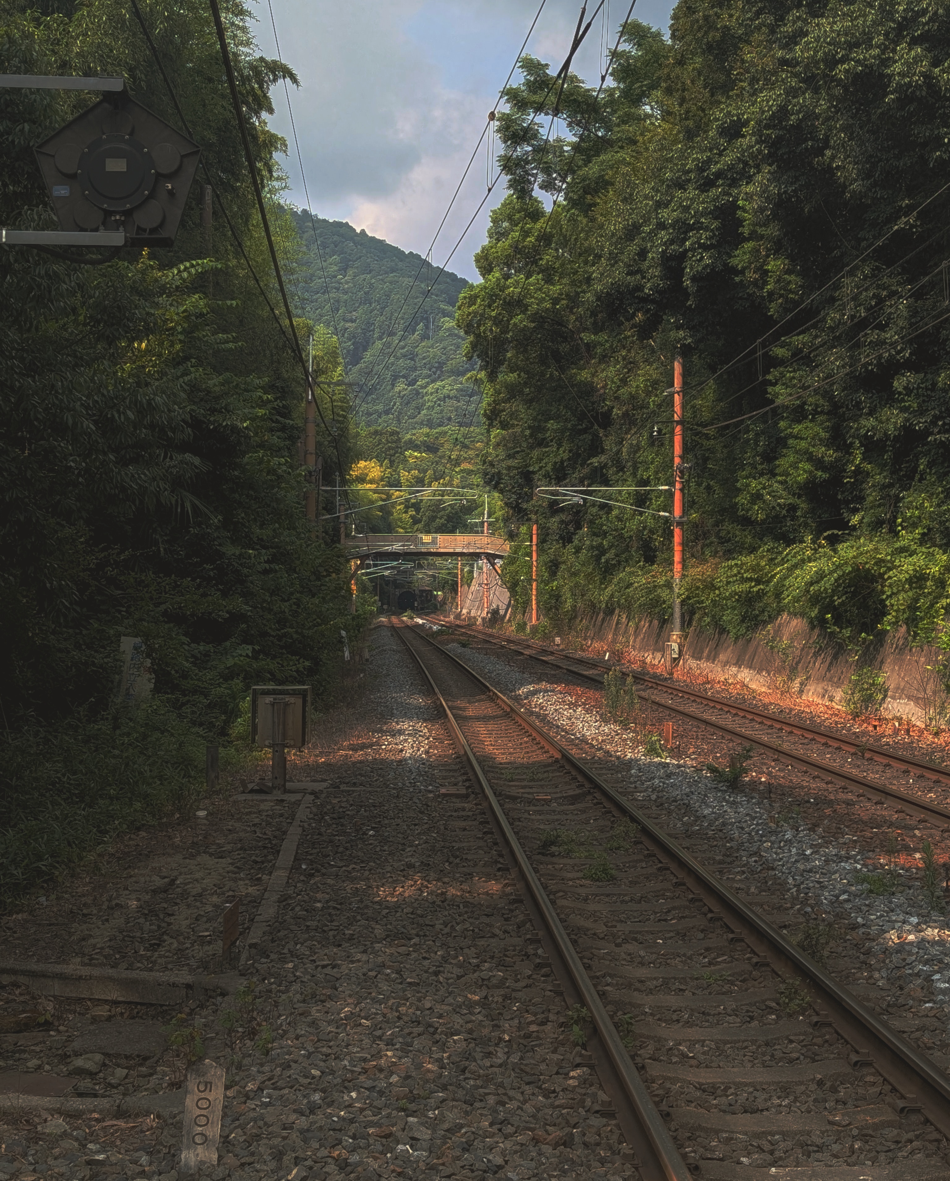 kyoto