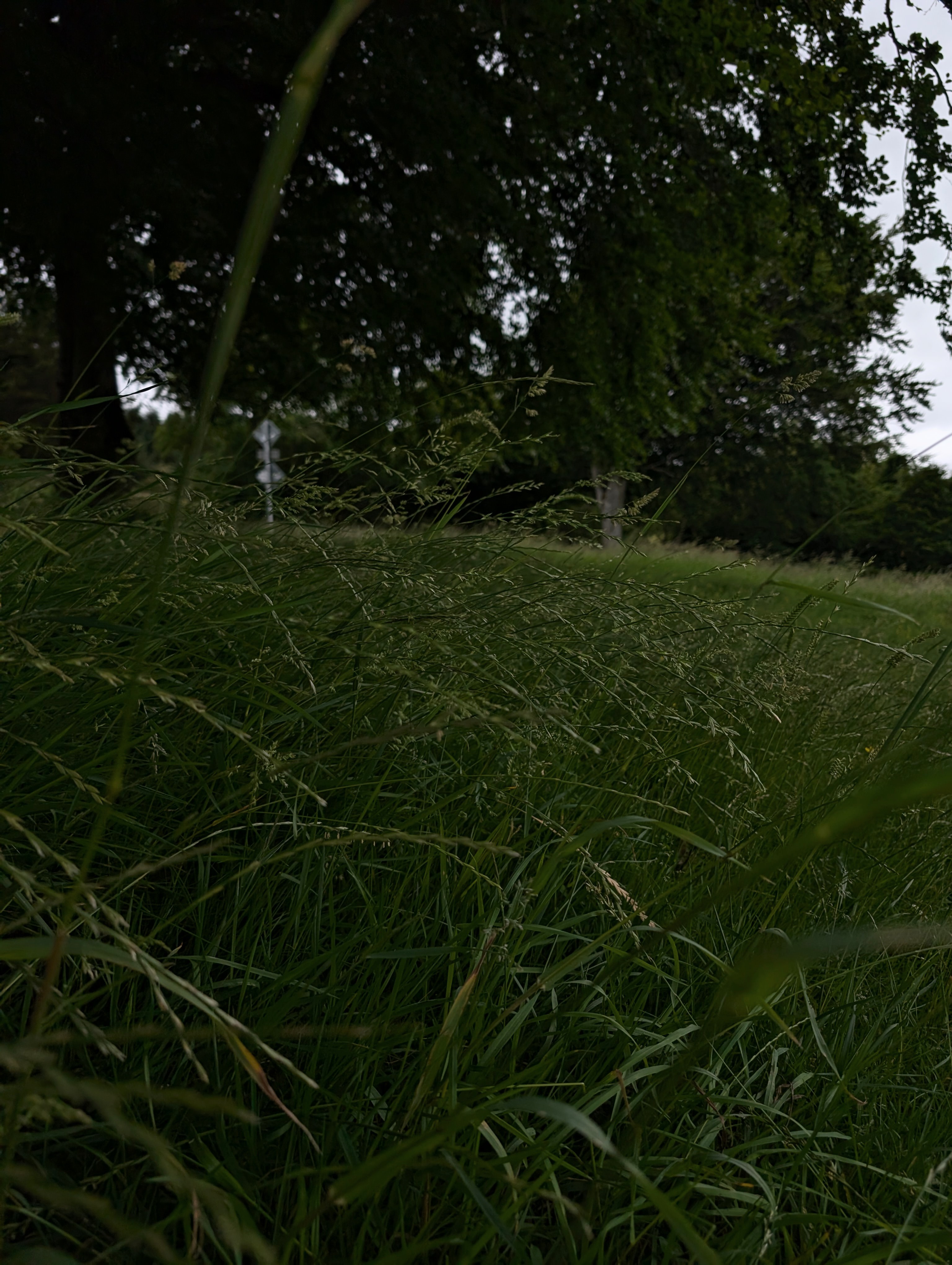 irish-countryside