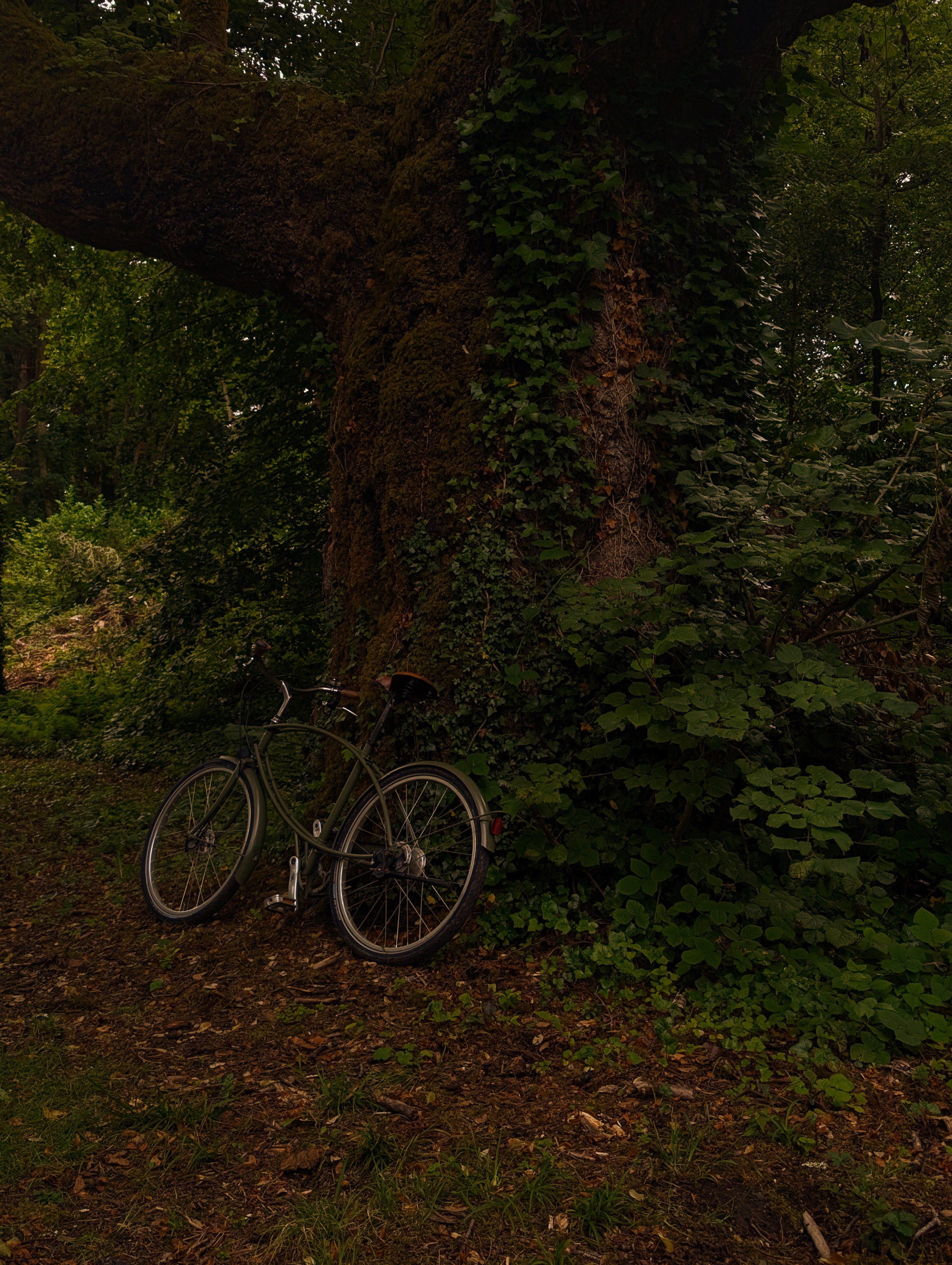irish-countryside