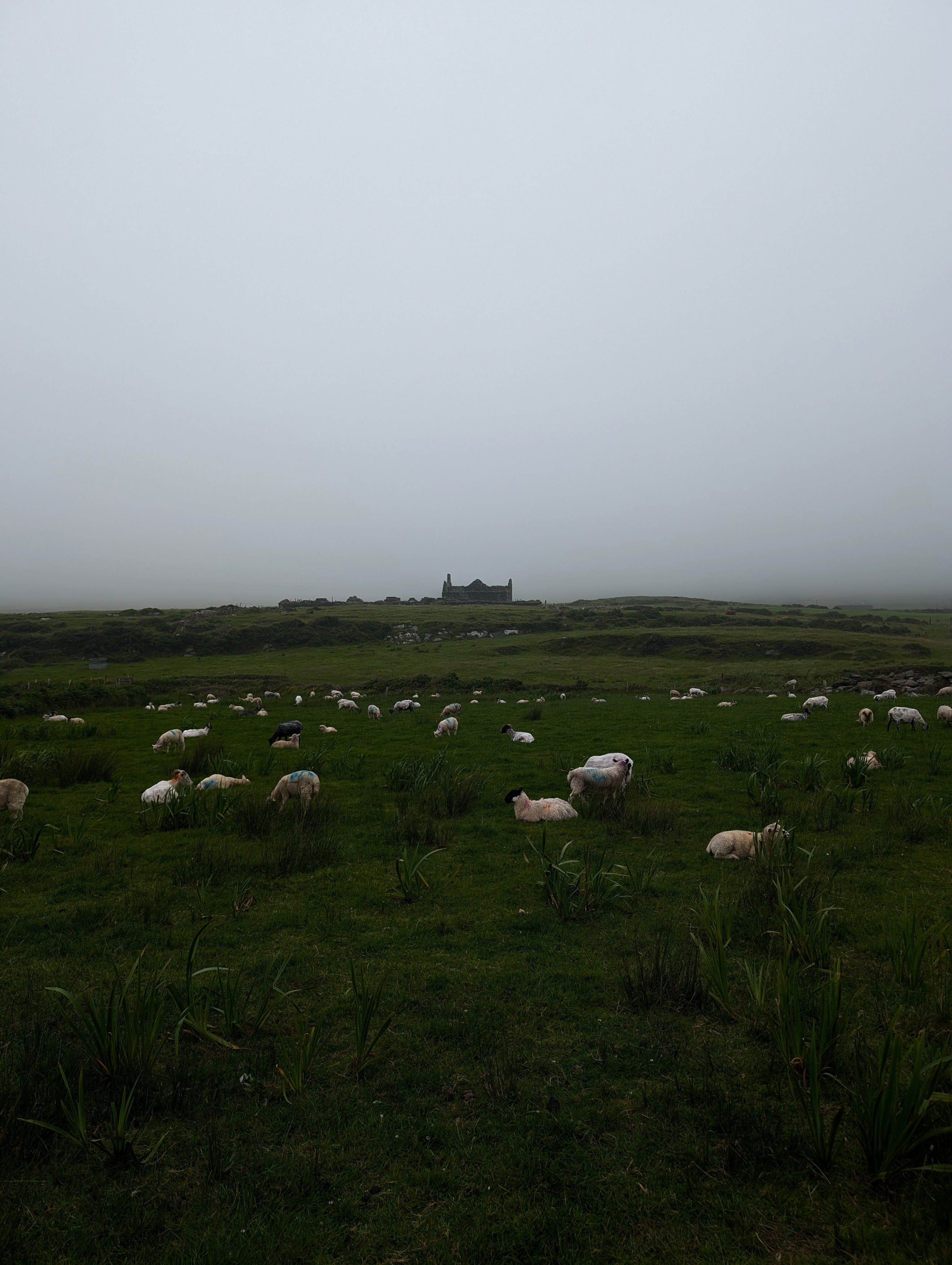 irish-countryside